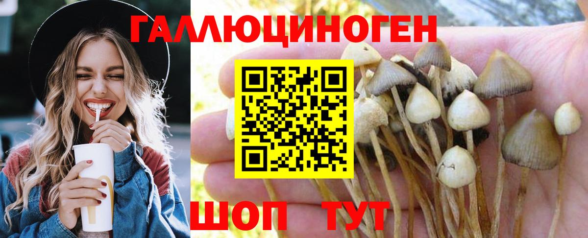 Псилоцибиновые грибы ЛСД  Вход с VPN  Сорочинск 