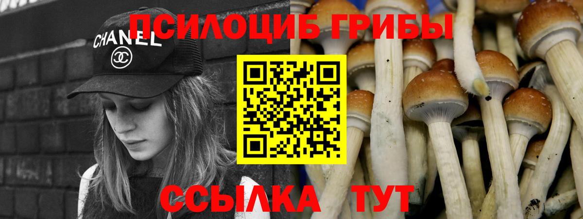 Псилоцибиновые грибы GOLDEN TEACHER Сорочинск